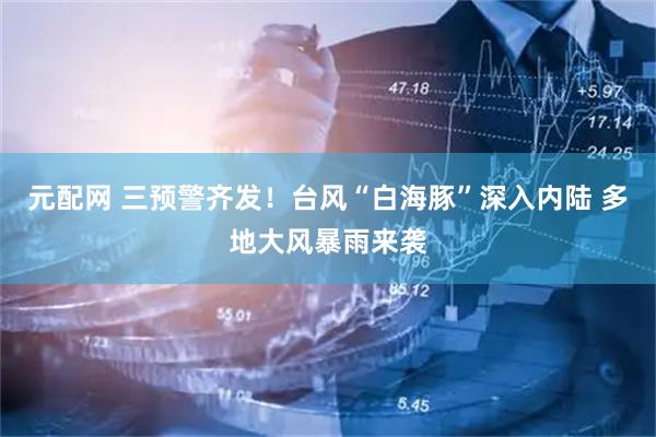 元配网 三预警齐发！台风“白海豚”深入内陆 多地大风暴雨来袭